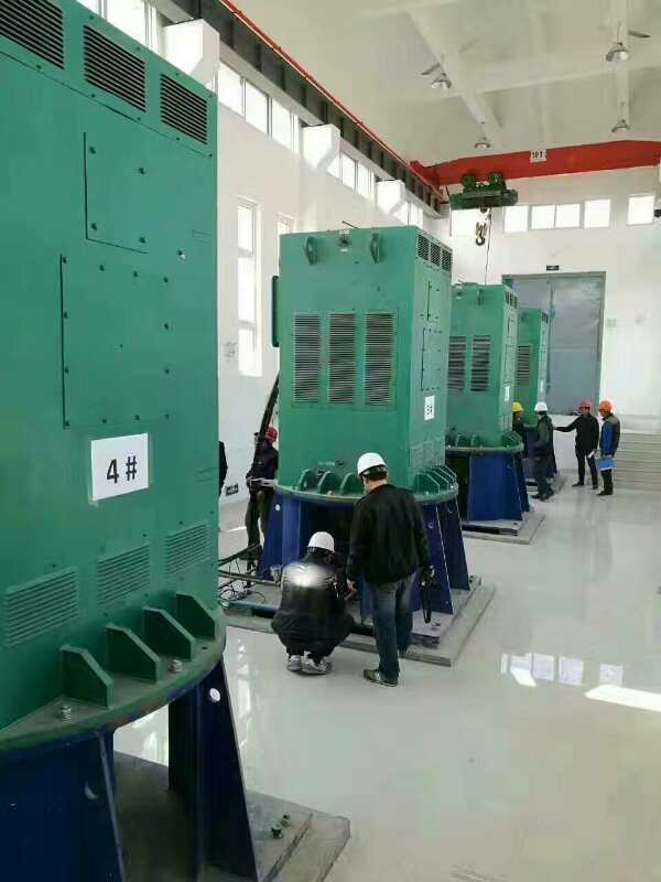 Y5001-6某污水处理厂使用我厂的立式高压电机安装现场