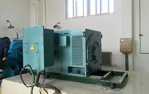 Y5001-6某水电站工程主水泵使用我公司高压电机