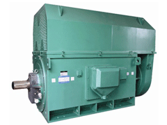 Y5001-6Y系列6KV高压电机