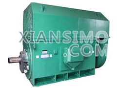 Y5001-6YXKK(2极)高效高压电机技术参数