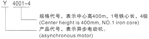 西安泰富西玛Y系列(H355-1000)高压Y5001-6三相异步电机型号说明