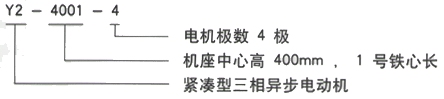 YR系列(H355-1000)高压Y5001-6三相异步电机西安西玛电机型号说明